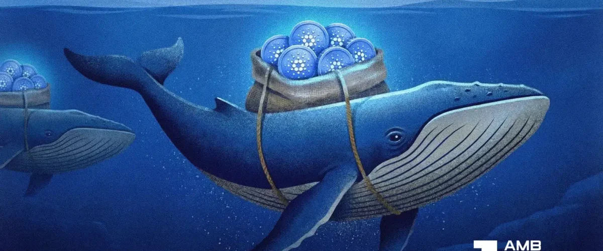 FI METRIC ADA 07 04 2026 1200x500