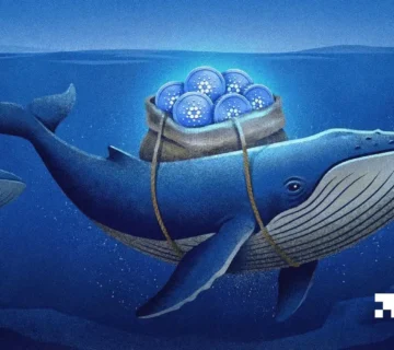 FI METRIC ADA 07 04 2026 360x320