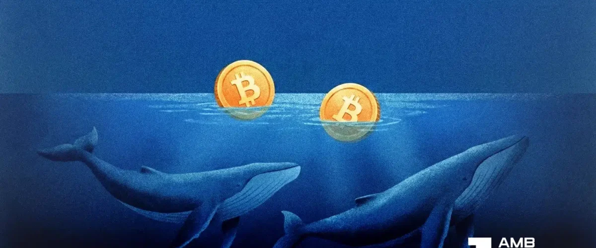 FI METRIC BTC 31 03 2026 1200x500