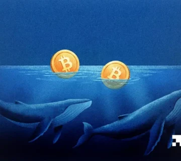 FI METRIC BTC 31 03 2026 360x320