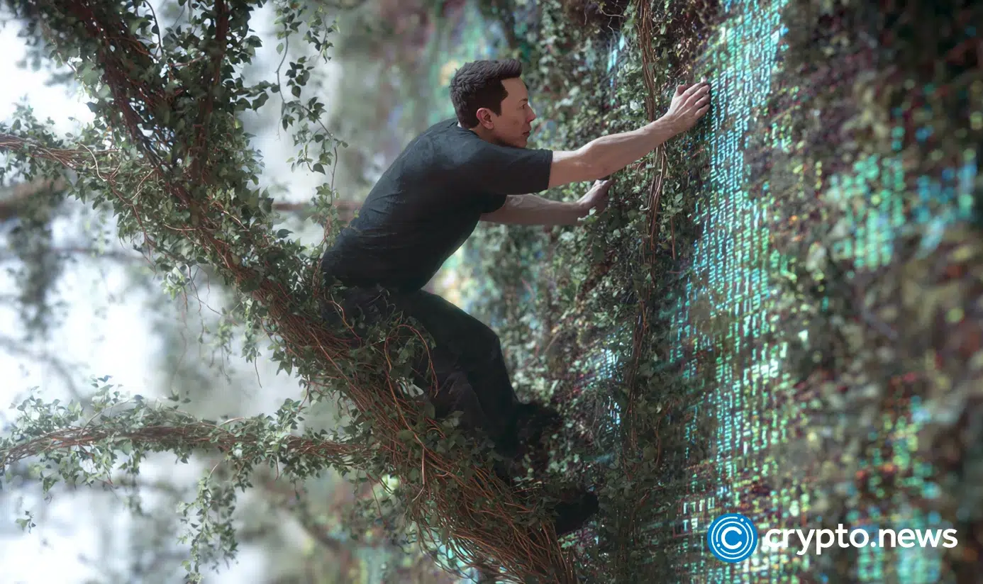 Crypto news Elon Musk vine option03