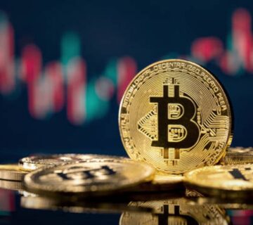 Istockphoto 1329055819 612x612 1 360x320